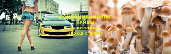 марки lsd Заволжск