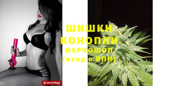 мет Елабуга