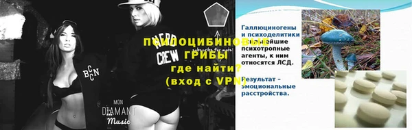 мет Елабуга