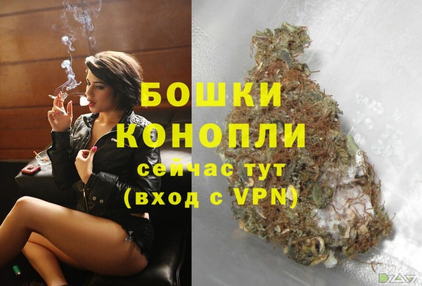 кокс Ельня