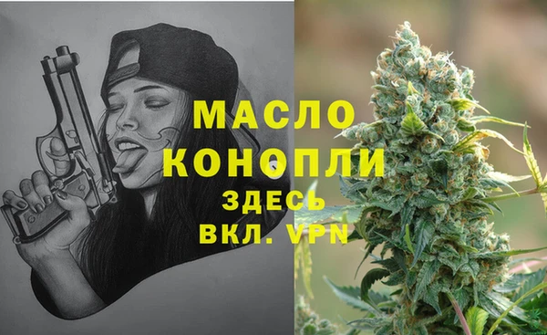 кокс Ельня