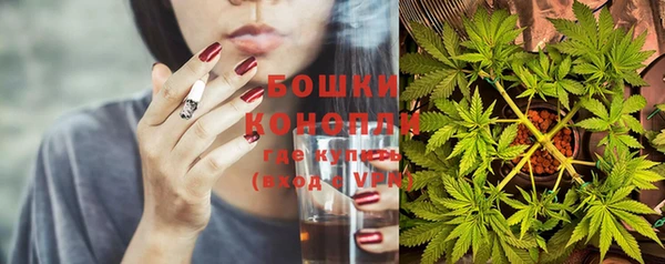 мет Елабуга