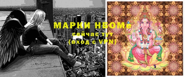 кокс Ельня