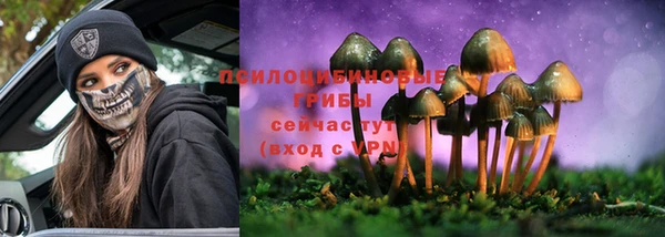 дурь Елизово